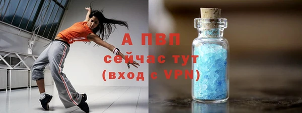 стафф Волоколамск