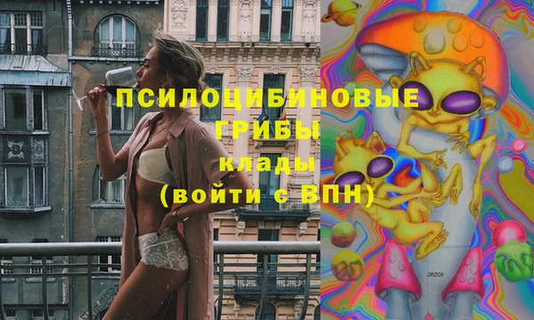 ГАЛЛЮЦИНОГЕННЫЕ ГРИБЫ Верхнеуральск