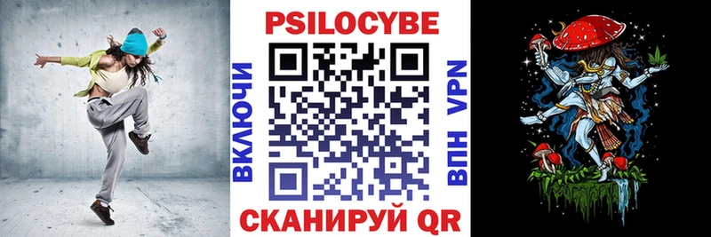 Псилоцибиновые грибы Psilocybe  купить  сайты  Санкт-Петербург 
